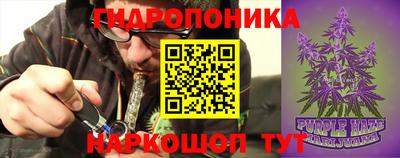 шишки Ливны