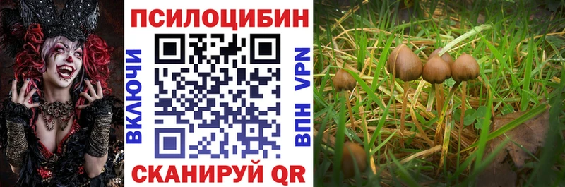 Галлюциногенные грибы мицелий  ОМГ ОМГ ТОР  Железногорск 