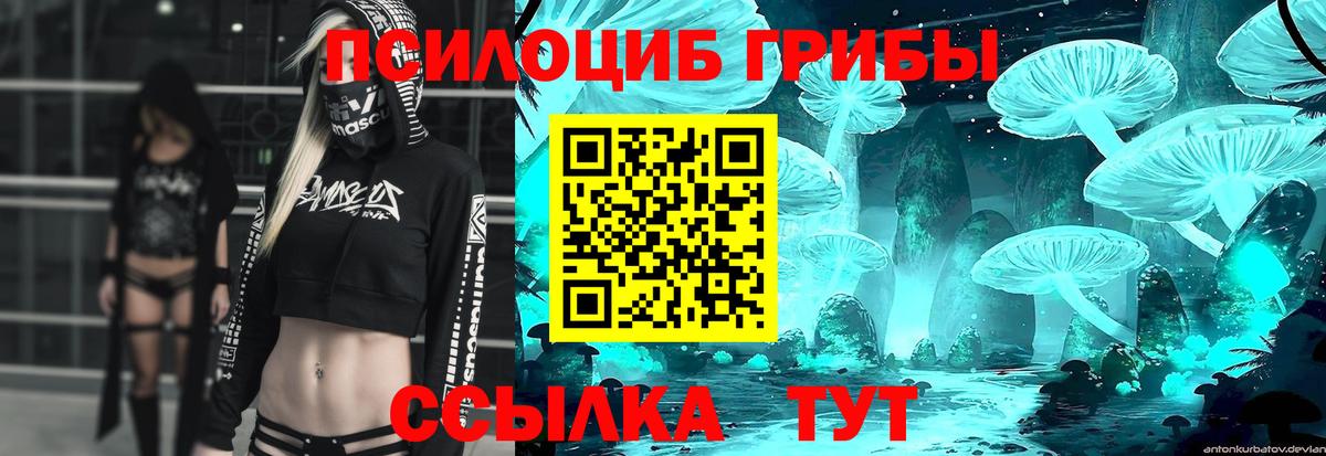 Железногорск  Псилоцибиновые грибы Psilocybine cubensis  Вход с VPN  Галлюциногенные грибы GOLDEN TEACHER 