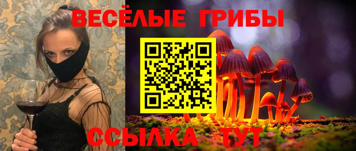 Галлюциногенные грибы MAGIC MUSHROOMS Железногорск